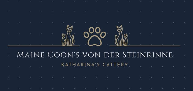 mainecoons-von-der-steinrinnes Webseite!