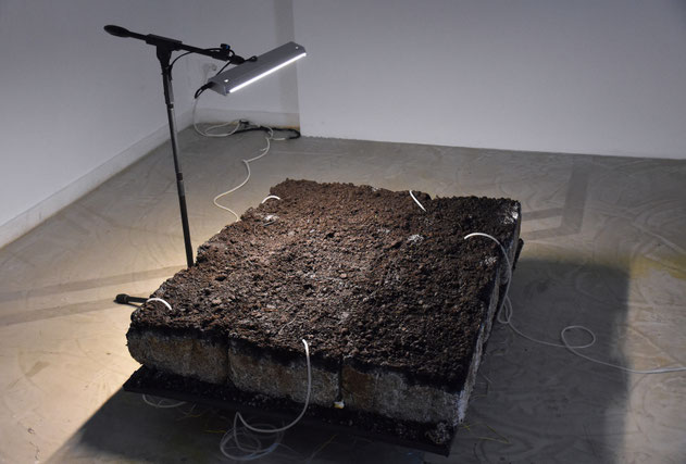 Maaijke Middelbeek, Mycelium Motherboard, Reactive Fungi Wearable, Through ooze and slime