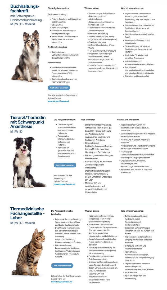 Tierarzt Social Media – Instagram Content für Tierkliniken und Praxen