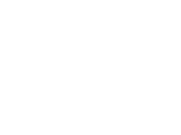 Vechtaer Carnevals Club e.V. 
