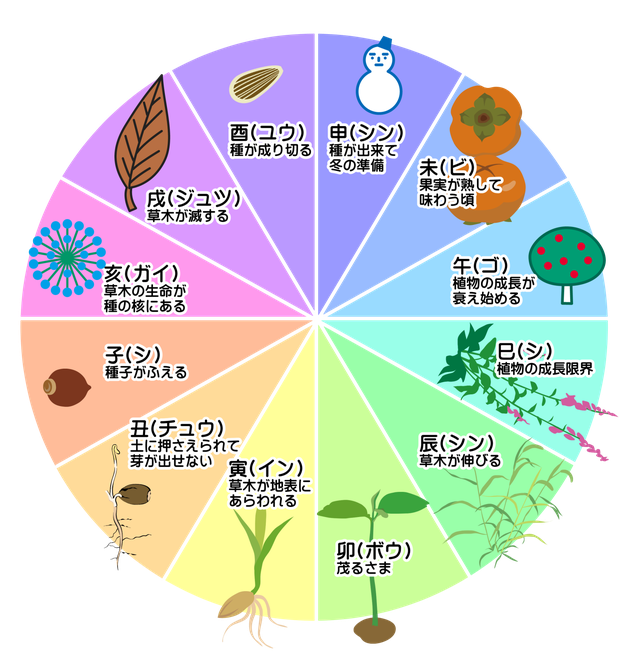 自然界のサイクルと十二支