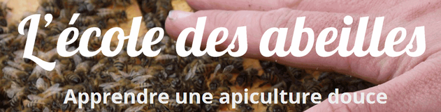 l'école des abeilles - apprendre une apiculture douce