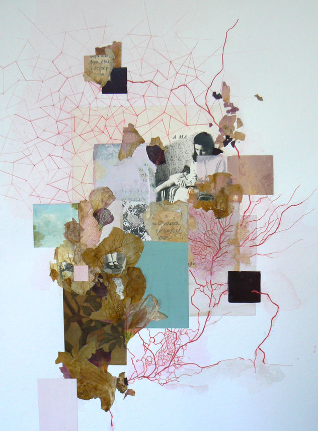  Odile Stemmelin - À Ma, pas à pas revenir - gouache, végétaux, photos, dessin
