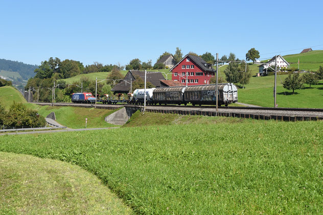 Peider Trippi