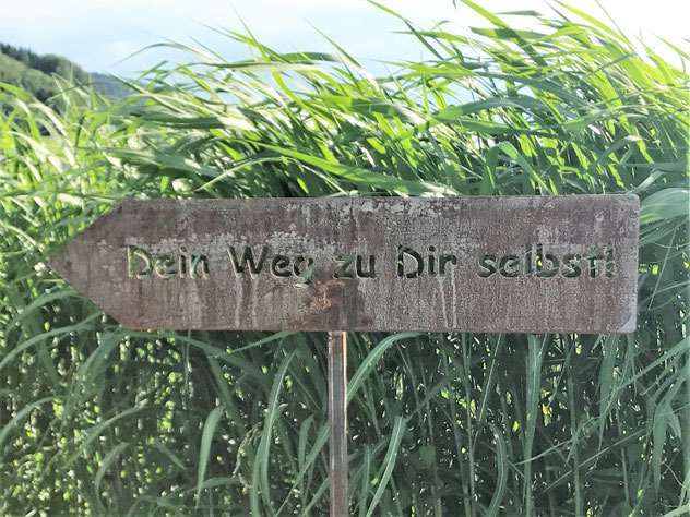 Lebensschule Moser Praxis Pinsdorf