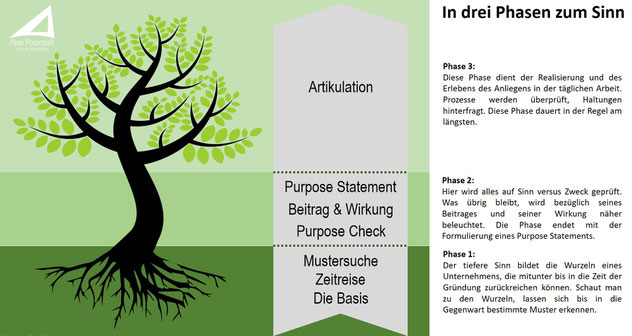 Das 3-Phasen Purpose Modell zum höheren Sinn