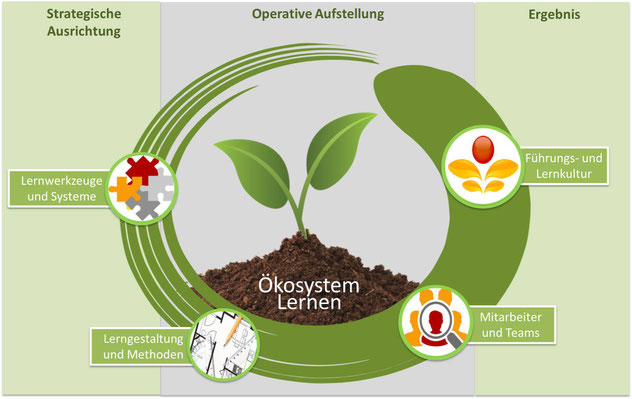 Das Ökosystem des ganzheitlichen Lernens mit den vier KIDT Faktoren