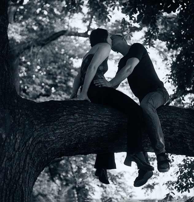 On The Tree, 2001