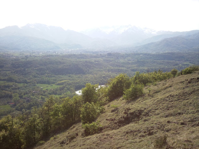  Si sale finalmente sul Moncuni e siamo in sella da circa otto ore, stà venendo sera quindi rientro immediato a Piossasco    