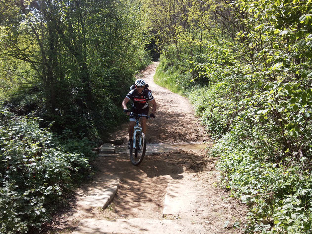   dopo un single track, si riparte per la morenica e giungere al Moncuni. 