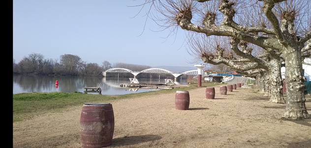 Bord de Saône, pont de Thoissey