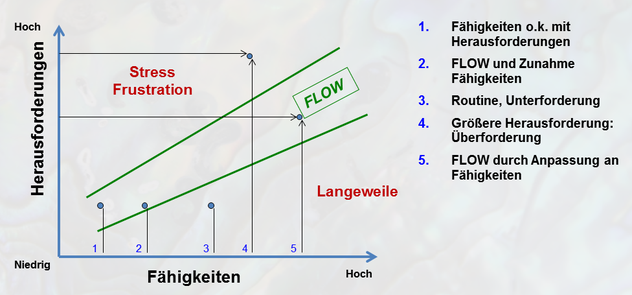 Das Flow Erlebnis