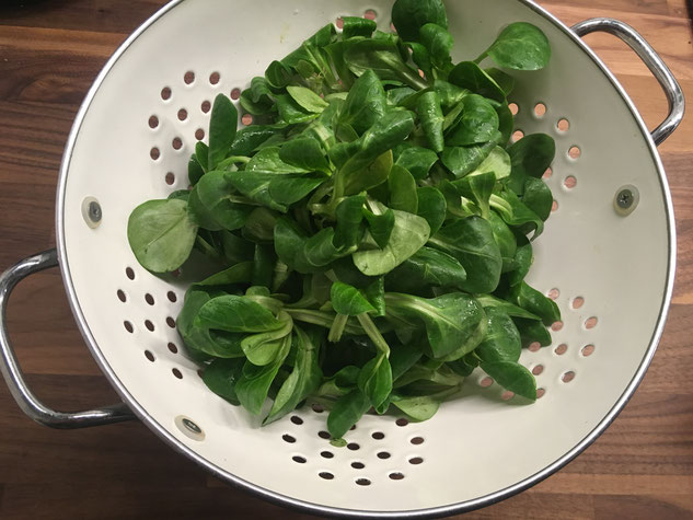 Feldsalat, Nüsslisalat, Sonnewerbele