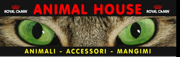 Benvenuti su animalhousesiracusa!