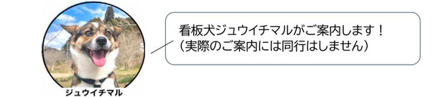 高知観光コースご案内
