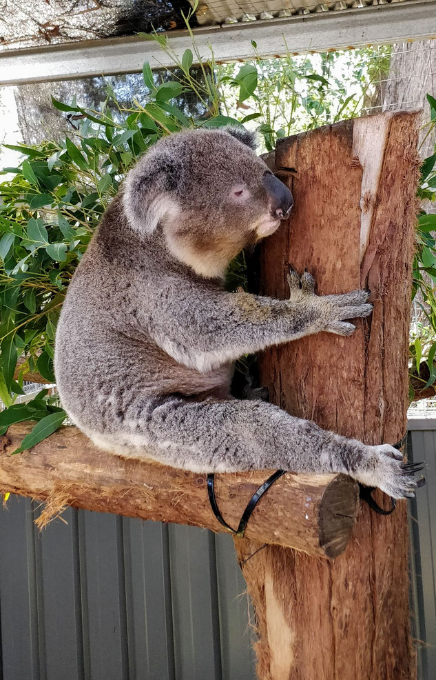 C'est pas mignon comme tout ça ?