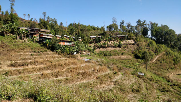Le village Karen