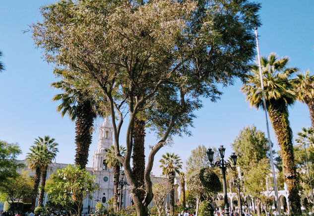La Plaza de Armas