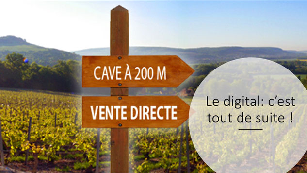 commercialisation du vin