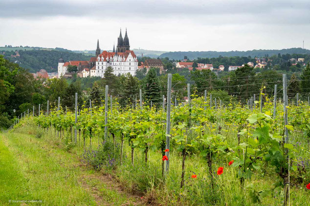 Mit dem Wohnmobil in Meißen