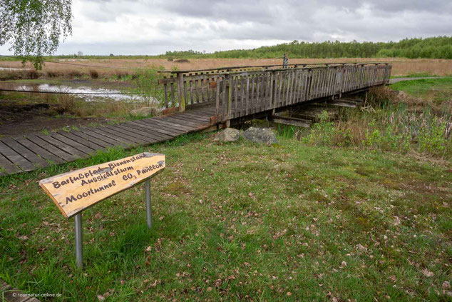  Doppel-Ringwallanlage unter Herzog Widukind 