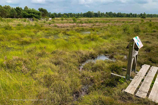 Diepholzer Moorniederungen