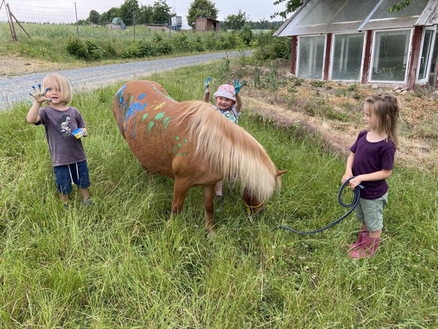 Ponygruppe für Kinder