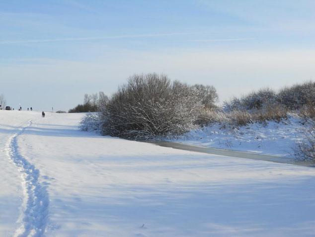 Winterspaziergänge