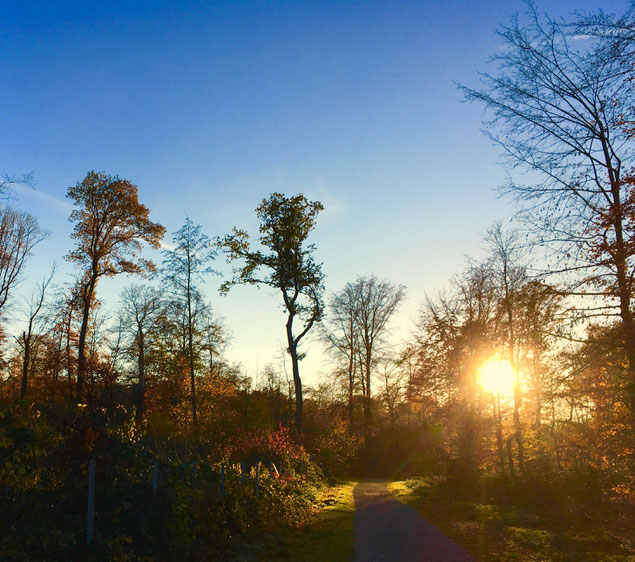 Tiefe Sonne