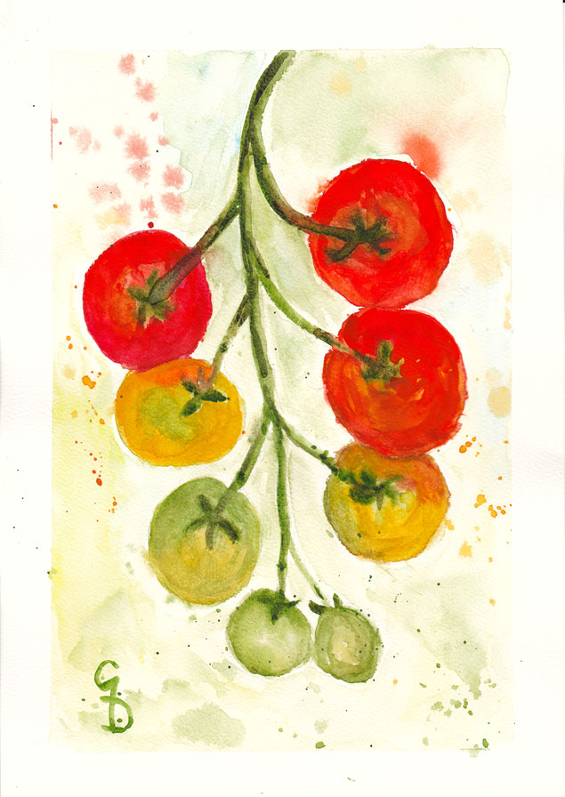 Tomaten im Reifeprozess, A4, €150