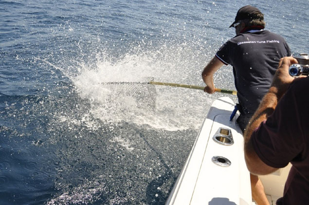 Pêche en mer départ face à notre maison