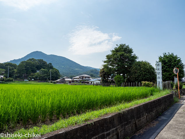 讃岐国府跡