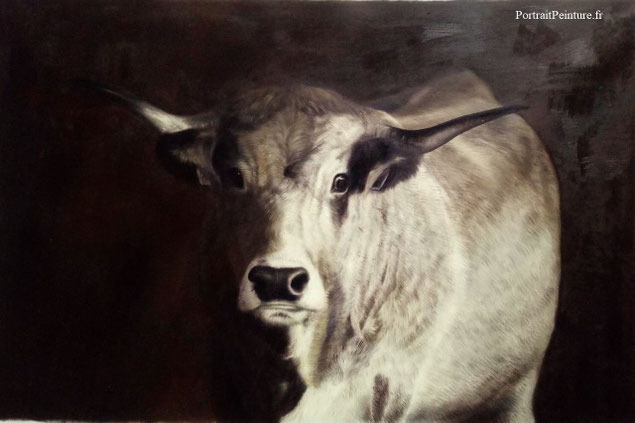 portrait-peinture-apres-photo-vache