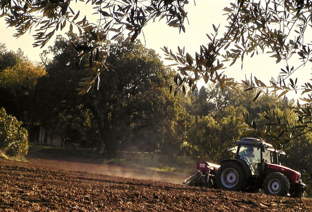 sowing, tractor, arable land, Agriturismo, Casafredda, Arezzo, Tuscany, Toscana