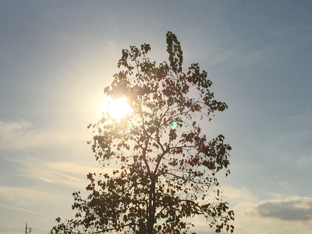 夕暮れ時