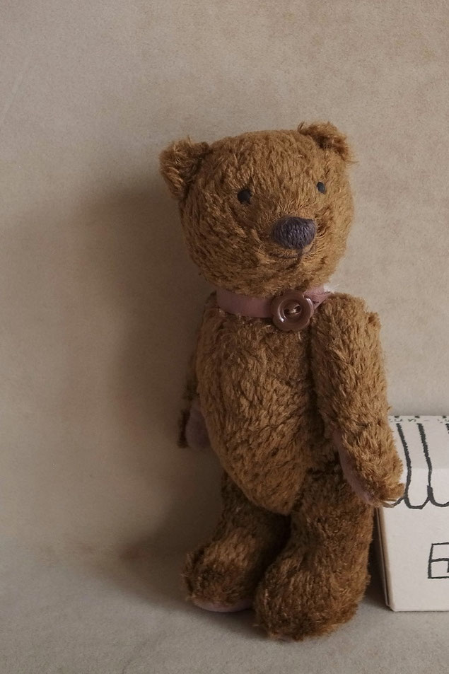 fairysaddle teddybear