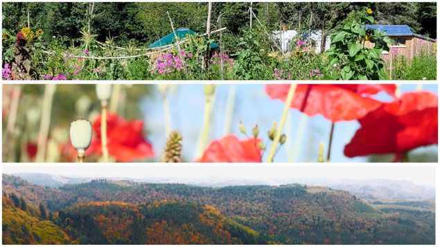 Entschleunigung Zeitlosigkeit