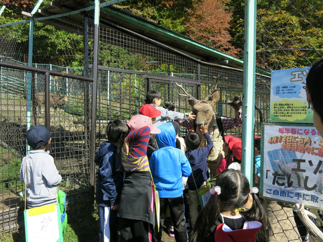 栗山町　動物園