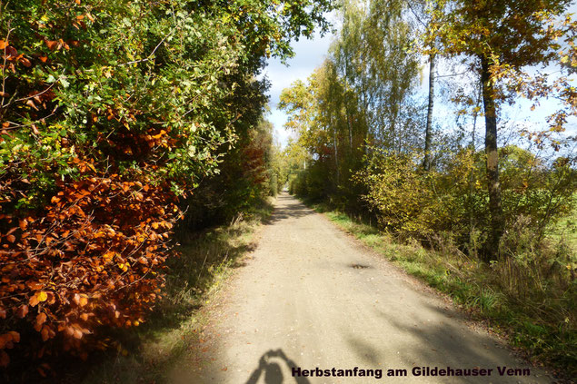 Herbstanfang - Vennweg am Gildehauser Venn