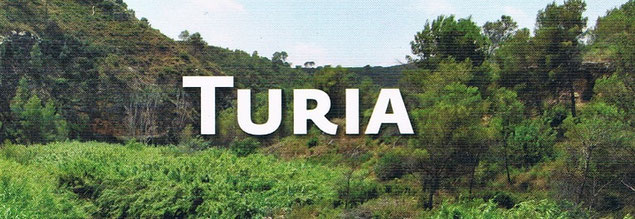 El Parque del Turia de Valencia fue declarado en 2007 Parque Natural Protegido.