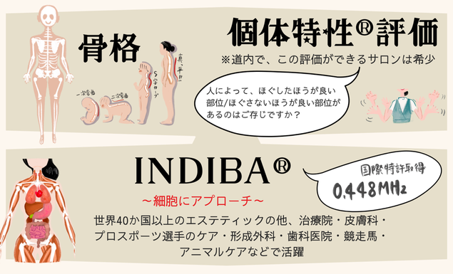人体や発達の仕組みと重力という環境をもとに、骨格をどう扱うか学術的に組み立てられた施術です。骨格構造リフォーム　骨格を整えるINDIBA®細胞にアプローチ　世界40か国以上のエステティックの他、治療院・皮膚科・プロスポーツ選手のケア・形成外科・歯科医院・競走馬・アニマルケアなどで活躍