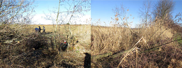 Brühlteiche/Lumpenbach Gehölzpflege Fotos K-H Kuhn