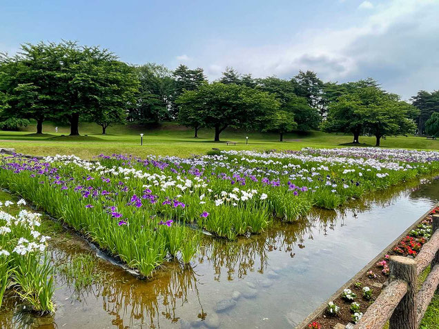鏡石町 鳥見山公園とふくしま遊歩道50選