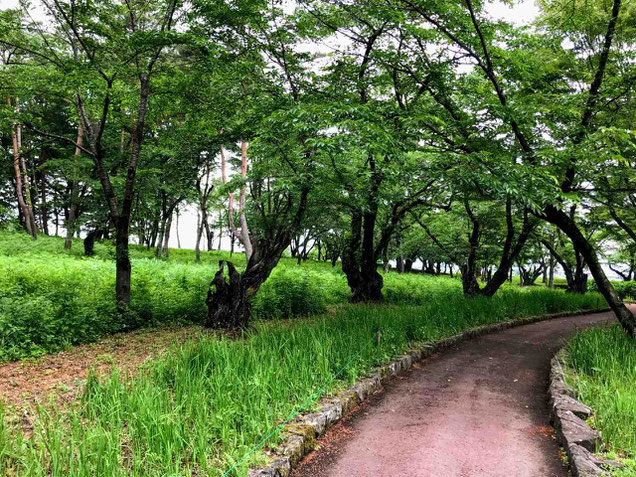 鏡石町 鳥見山公園とふくしま遊歩道50選