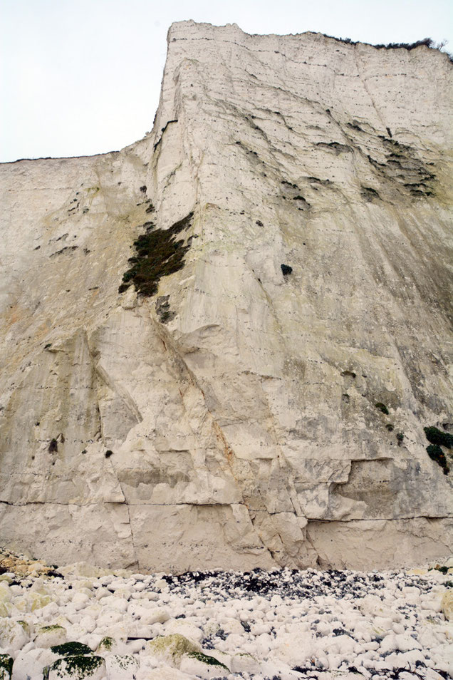 Site of the rockfall. More to come. 