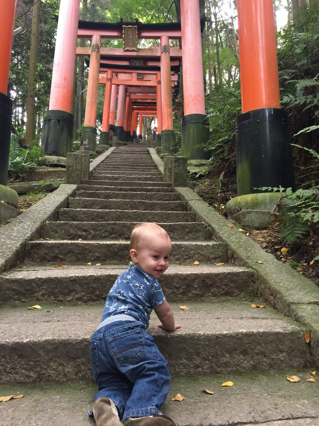 Kyoto - 5 Family Friendly Hikes - Hiking the Fushimi Inari Shrine in Kyoto