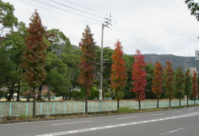 11月10日13:00頃