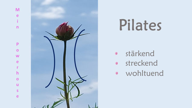 Pilates Heidelberg Yoga Heidelberg Pilates für Studenten Pilates Kurse Pilaltesstudio Heidelberg Eva Metz Gesundheitsweg Pilates