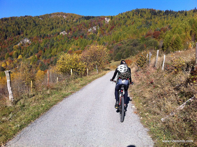 la giornata è impeccabile, zero nuvole