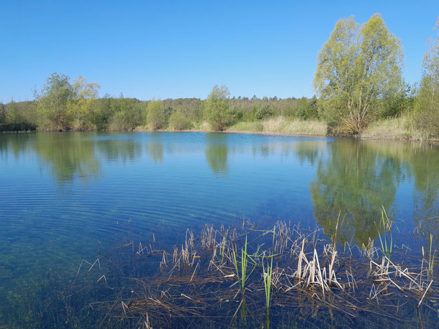 Im Landkreis Helmstedt, Foto: Privat/ Sonja Kynast